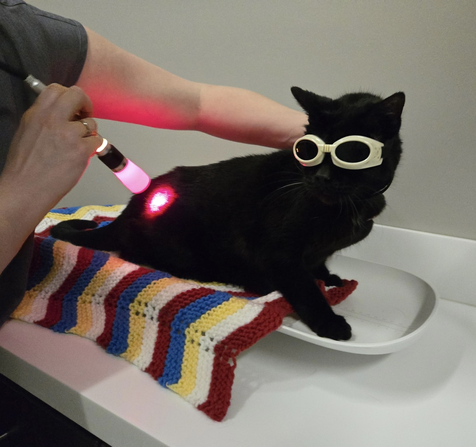 Laser Therapy greenville